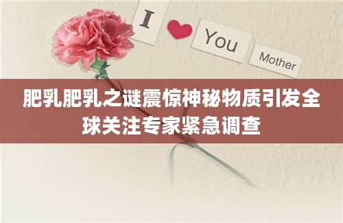 肥乳肥乳之谜震惊神秘物质引发全球关注专家紧急调查