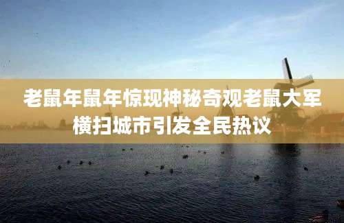 老鼠年鼠年惊现神秘奇观老鼠大军横扫城市引发全民热议