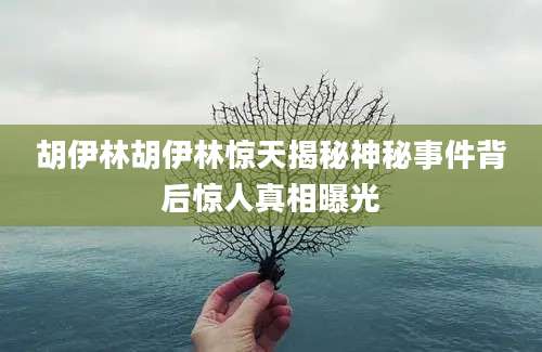 胡伊林胡伊林惊天揭秘神秘事件背后惊人真相曝光