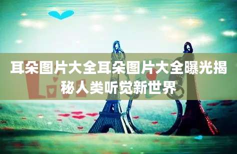 耳朵图片大全耳朵图片大全曝光揭秘人类听觉新世界