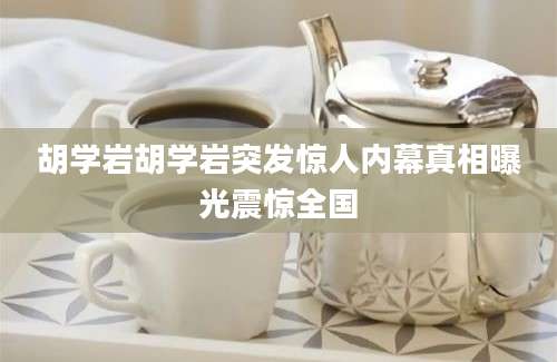 胡学岩胡学岩突发惊人内幕真相曝光震惊全国