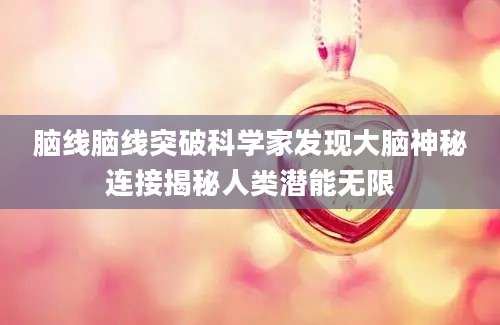 脑线脑线突破科学家发现大脑神秘连接揭秘人类潜能无限
