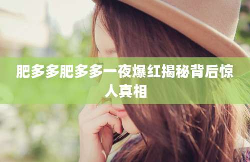 肥多多肥多多一夜爆红揭秘背后惊人真相