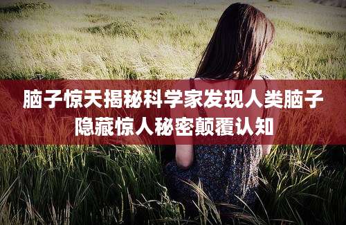 脑子惊天揭秘科学家发现人类脑子隐藏惊人秘密颠覆认知