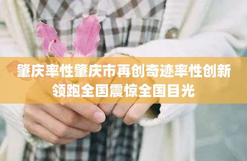 肇庆率性肇庆市再创奇迹率性创新领跑全国震惊全国目光