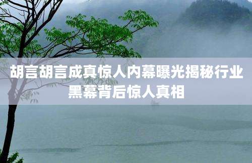 胡言胡言成真惊人内幕曝光揭秘行业黑幕背后惊人真相