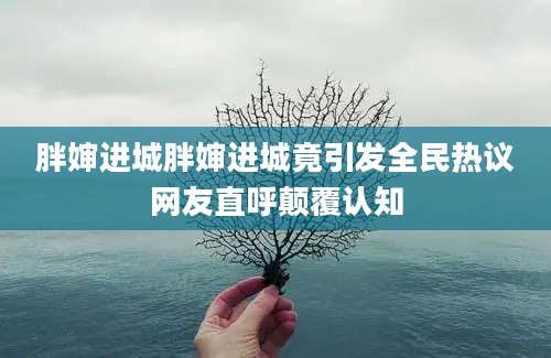 胖婶进城胖婶进城竟引发全民热议网友直呼颠覆认知