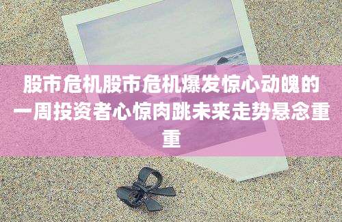 股市危机股市危机爆发惊心动魄的一周投资者心惊肉跳未来走势悬念重重