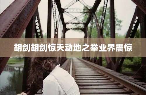 胡剑胡剑惊天动地之举业界震惊