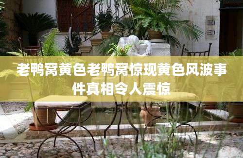 老鸭窝黄色老鸭窝惊现黄色风波事件真相令人震惊
