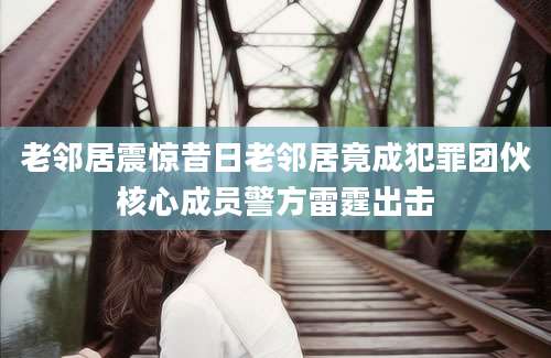 老邻居震惊昔日老邻居竟成犯罪团伙核心成员警方雷霆出击