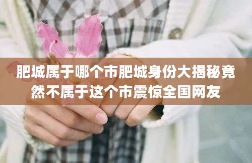肥城属于哪个市肥城身份大揭秘竟然不属于这个市震惊全国网友