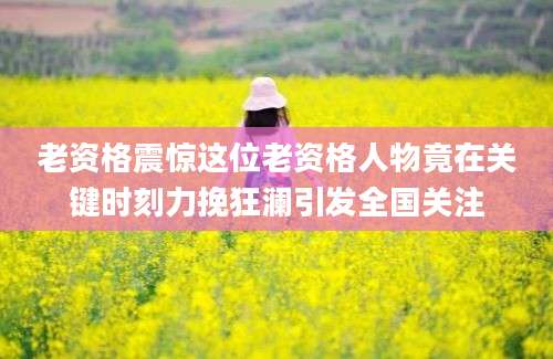 老资格震惊这位老资格人物竟在关键时刻力挽狂澜引发全国关注