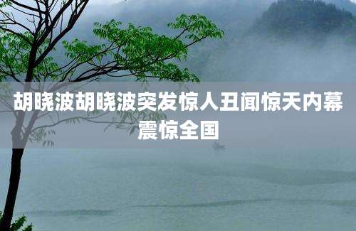 胡晓波胡晓波突发惊人丑闻惊天内幕震惊全国