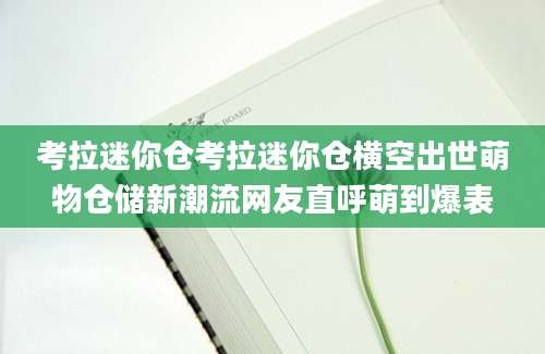 考拉迷你仓考拉迷你仓横空出世萌物仓储新潮流网友直呼萌到爆表