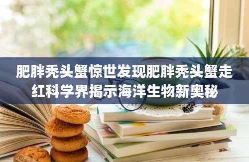 肥胖秃头蟹惊世发现肥胖秃头蟹走红科学界揭示海洋生物新奥秘
