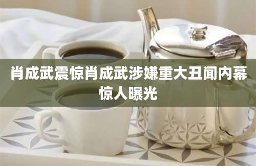肖成武震惊肖成武涉嫌重大丑闻内幕惊人曝光