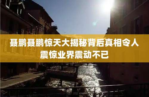 聂鹏聂鹏惊天大揭秘背后真相令人震惊业界震动不已