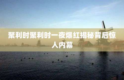 聚利时聚利时一夜爆红揭秘背后惊人内幕