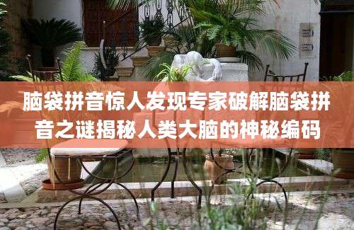 脑袋拼音惊人发现专家破解脑袋拼音之谜揭秘人类大脑的神秘编码