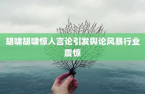 胡啸胡啸惊人言论引发舆论风暴行业震惊