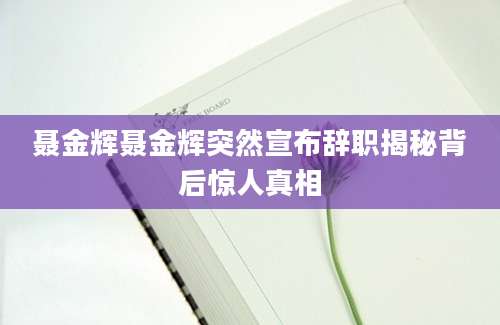 聂金辉聂金辉突然宣布辞职揭秘背后惊人真相
