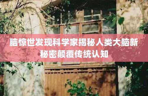 脑惊世发现科学家揭秘人类大脑新秘密颠覆传统认知