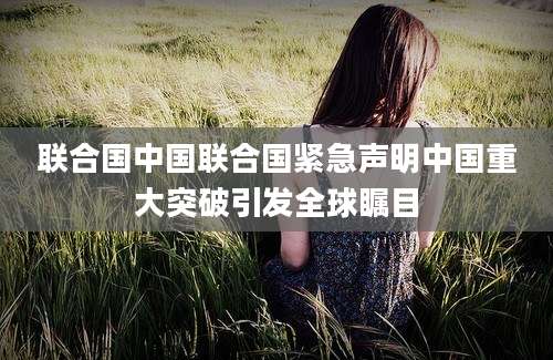 联合国中国联合国紧急声明中国重大突破引发全球瞩目