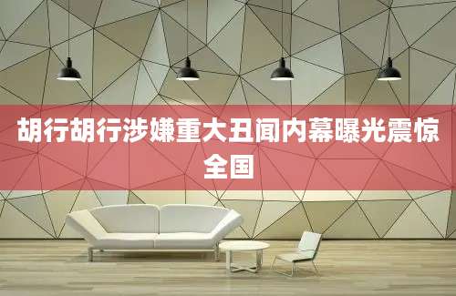 胡行胡行涉嫌重大丑闻内幕曝光震惊全国