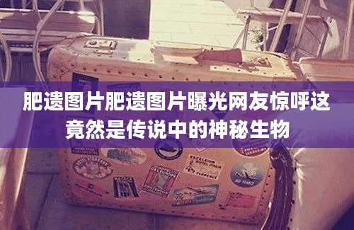 肥遗图片肥遗图片曝光网友惊呼这竟然是传说中的神秘生物