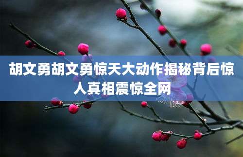 胡文勇胡文勇惊天大动作揭秘背后惊人真相震惊全网