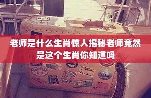 老师是什么生肖惊人揭秘老师竟然是这个生肖你知道吗