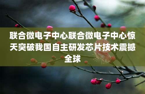 联合微电子中心联合微电子中心惊天突破我国自主研发芯片技术震撼全球