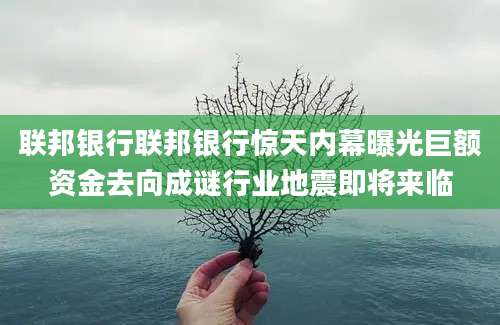 联邦银行联邦银行惊天内幕曝光巨额资金去向成谜行业地震即将来临