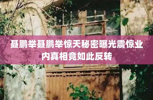 聂鹏举聂鹏举惊天秘密曝光震惊业内真相竟如此反转