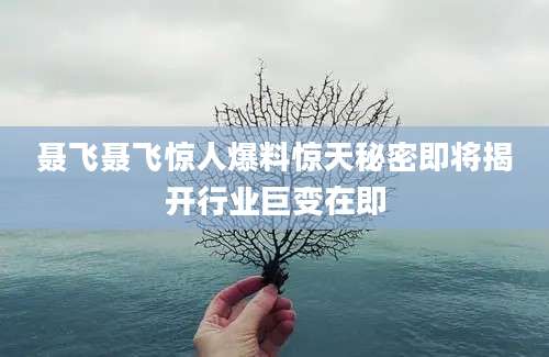 聂飞聂飞惊人爆料惊天秘密即将揭开行业巨变在即