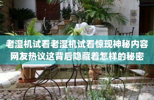 老湿机试看老湿机试看惊现神秘内容网友热议这背后隐藏着怎样的秘密