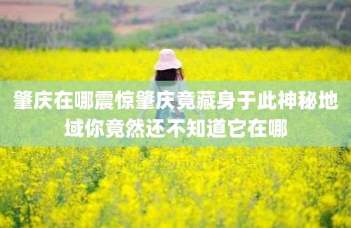 肇庆在哪震惊肇庆竟藏身于此神秘地域你竟然还不知道它在哪