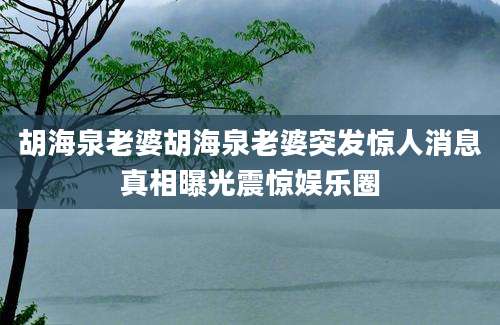 胡海泉老婆胡海泉老婆突发惊人消息真相曝光震惊娱乐圈