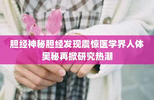 胆经神秘胆经发现震惊医学界人体奥秘再掀研究热潮