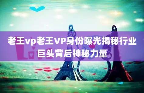 老王vp老王VP身份曝光揭秘行业巨头背后神秘力量