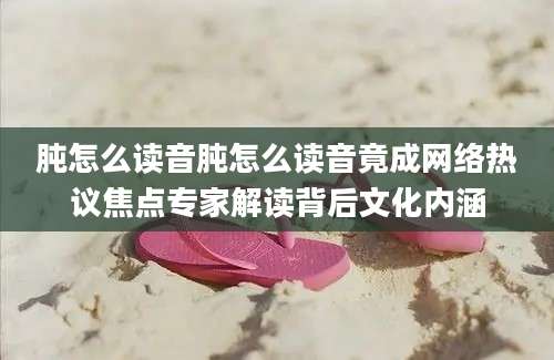 肫怎么读音肫怎么读音竟成网络热议焦点专家解读背后文化内涵