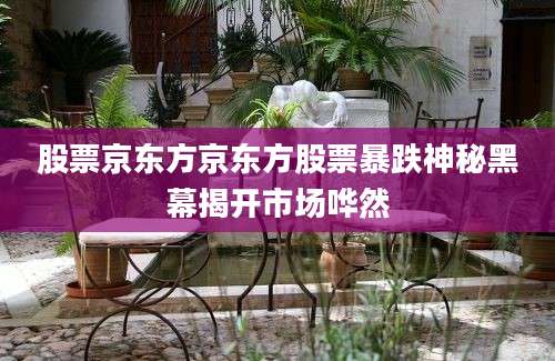 股票京东方京东方股票暴跌神秘黑幕揭开市场哗然