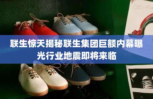 联生惊天揭秘联生集团巨额内幕曝光行业地震即将来临