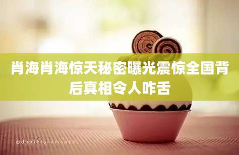 肖海肖海惊天秘密曝光震惊全国背后真相令人咋舌