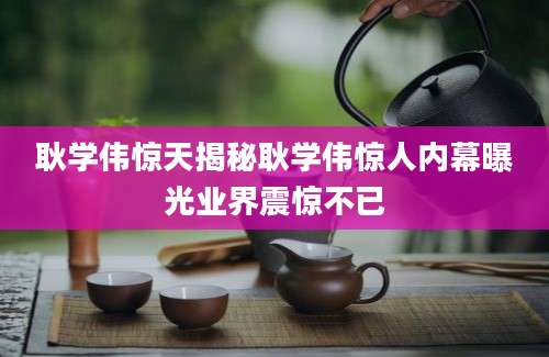耿学伟惊天揭秘耿学伟惊人内幕曝光业界震惊不已