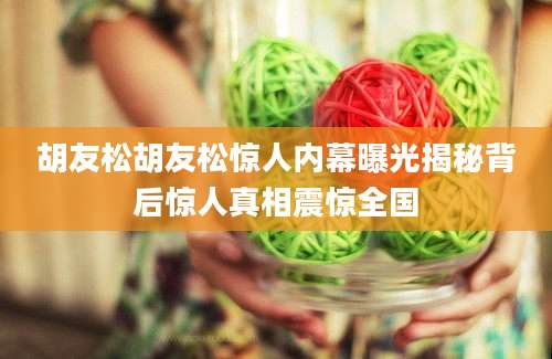 胡友松胡友松惊人内幕曝光揭秘背后惊人真相震惊全国