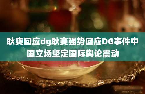 耿爽回应dg耿爽强势回应DG事件中国立场坚定国际舆论震动