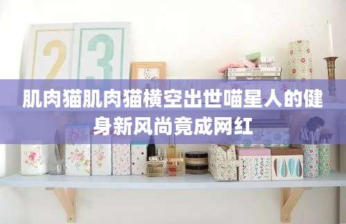 肌肉猫肌肉猫横空出世喵星人的健身新风尚竟成网红