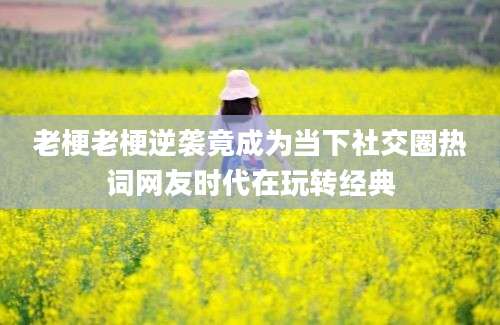 老梗老梗逆袭竟成为当下社交圈热词网友时代在玩转经典